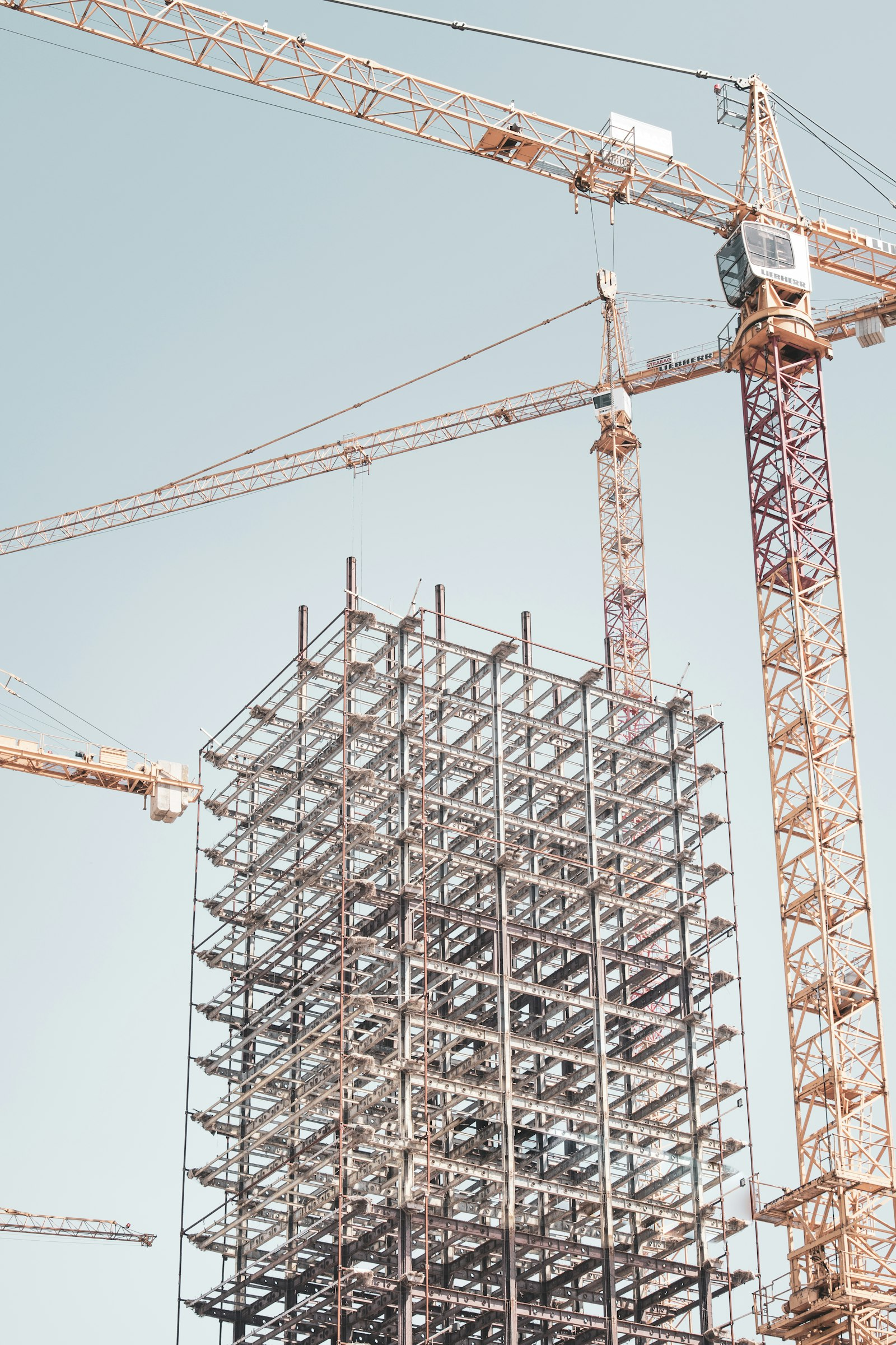 Steel building frame under construction with a tower crane